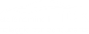 NCC Minelli